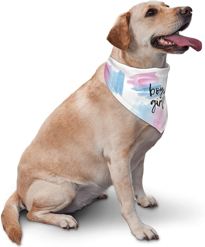 He Or She What Will It Be? Gender Reveal/Baby Announcement Dog Bandana,Pet Neckerchief for Pets Daily Wear Photo Prop Party Supplies (Color Block)