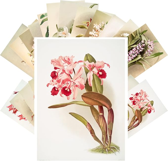 PIXILUV Vintage Postcards (24 pcs 4"x6" each) Fantastic Orchid Flowers Antique Botannical Book Illustration Vintage Notecards Retro Greeting Card Reprint
