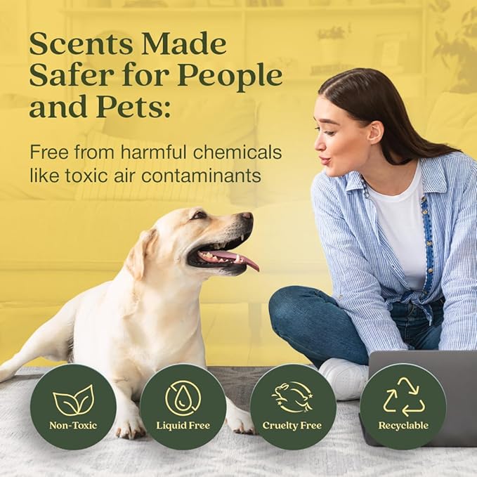 Enviroscent Non Toxic Air Freshener (Lemon Leaf & Thyme) Plug-in Home Fragrance Last 45+ Days | Kit includes 1 Refillable Plug In Warmer & 1 Scent Refill