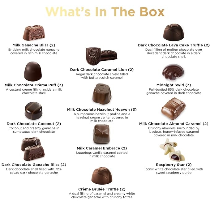 Gourmet Chocolate Gift Box, 27 Chocolates Pack of Premium Belgium Assorted Chocolate, Ideal for Gift Basket and Holiday Celebrations 11.3 OZ