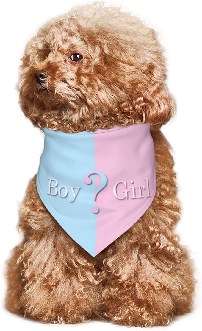 He Or She What Will It Be? Gender Reveal/Baby Announcement Dog Bandana,Pet Neckerchief for Pets Daily Wear Photo Prop Party Supplies (Blue)