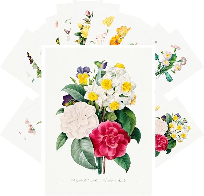 PIXILUV Vintage Postcards (24 pcs 4"x6" each) Flowers Bouquets Wildflowers Vintage Botannical Books Illustrations by Redoute Retro Notecards Greeting Card Reprint