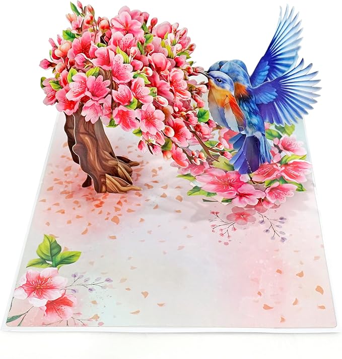 CUTPOPUP Birthday Card Pop Up, Mothers Day Card Pop Up, 3D Birthday Greeting Card, Mother's Day for Women, Mom, Wife, Grandma, Daughter (Robin Cherry)