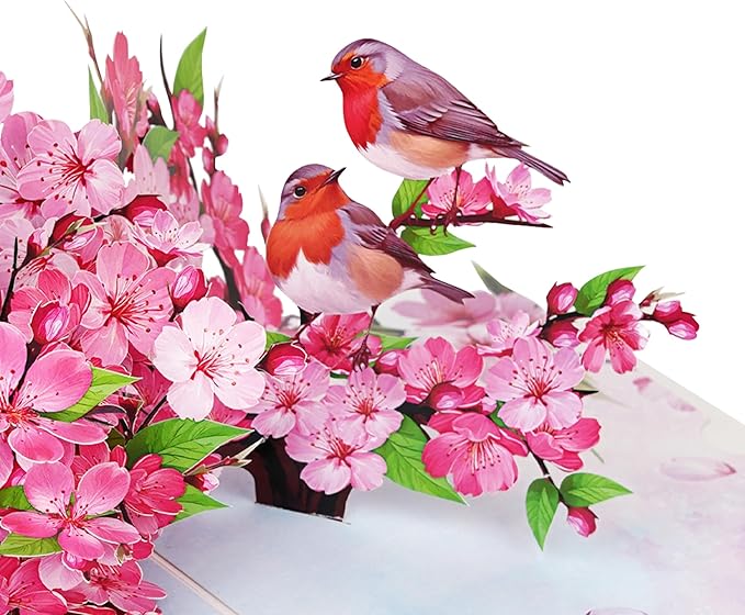 Robins Couple w Cherry Blossom Pop Up Anniversary Cards, 6x8in Wedding Anniversary Card, Valentines Day Card, 3D Gift Card for Her, Him, Husband, Wife (Cherry Blossom Robins Couple)