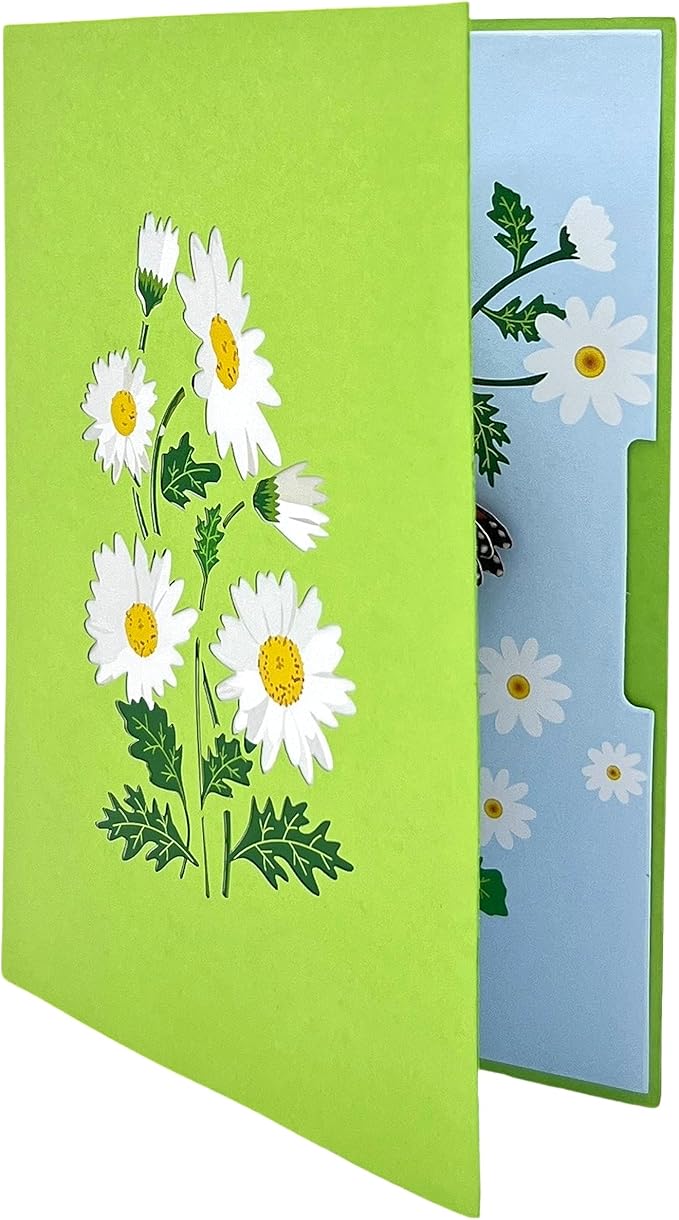 Pop Up Greeting Card Blooming White Daisy Field Flower Card Daisy Gift Spring Floral Mother's Day Thank You Birthday Celebration