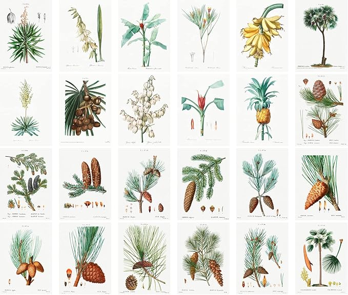 PIXILUV Vintage Postcards (24 pcs 4"x6" each) Palms and Pines Trees Vintage Botannical Books Illustrations by Redoute Retro Notecards Greeting Card Reprint