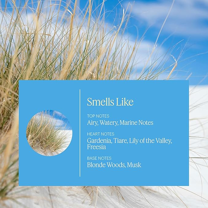 Aera Mini Beach House - Essential Oil for Home - Summer Fragrance - Notes of Ocean Air and Gardenia - Scent Refill - Capsule Size Works with Mini Diffuser