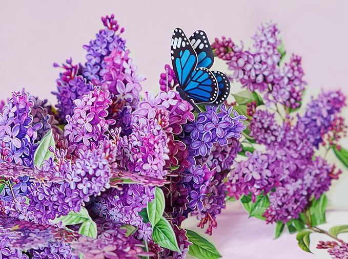 Lilac Blossom Birthday Cards for Women, Pop Up Mothers Day Card, 3D Anniversary, Valentines Day, Pop Up Gifts for Her, Him, Wife, Husband, Sister 6x8in (Lilac Blossom Butterfly)