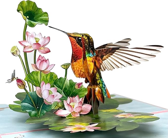 Pop Up Birthday Cards for Women, Hummingbird 3D Birthday Card, Beautiful Hummingbird and Lotus with Koi Fish Design, Pop Up Cards All Occasion for Mother, Mom, Her, Granmother and Daughter, Mothers Day Card