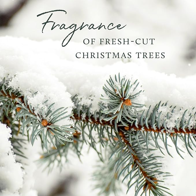 Thymes Frasier Fir Pine Needle Candle – Holiday Candles for Home Scented with Notes of Crisp Siberian Fir, Cedarwood & Sandalwood – Christmas Decor – Christmas Gifts for Women & Men (6.5 oz)