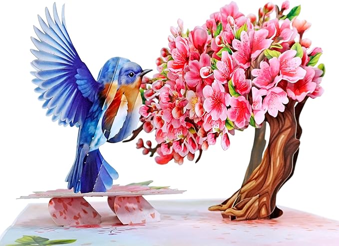 CUTPOPUP Birthday Card Pop Up, Mothers Day Card Pop Up, 3D Birthday Greeting Card, Mother's Day for Women, Mom, Wife, Grandma, Daughter (Robin Cherry)