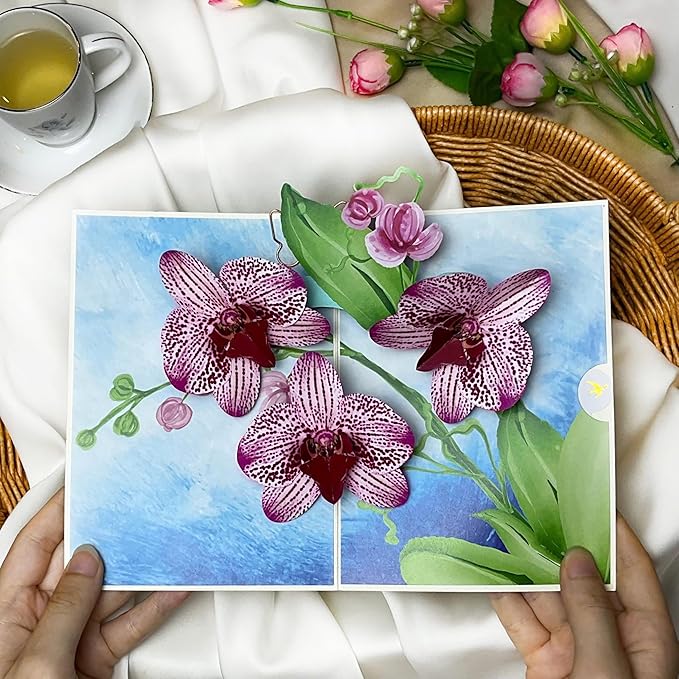 Birthday Cards, Mothers Day Pop Up Card, Beautiful 3D Orchid Pop Up Flowers, Light Up Mothers Day Flowers Card for Mom, Wife, Niece, Daughter, Sister, Includes Envelope and Message Note