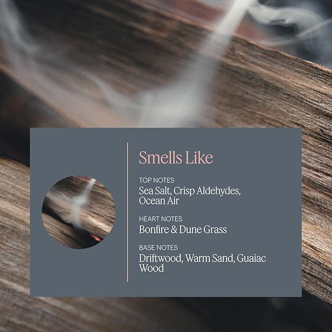 Aera Mini Feu de Bois - Essential Oil for Home - Wood Burning Fragrance - Notes of Smokey Embers and Driftwood - Scent Refill - Capsule Size Works with Mini Diffuser