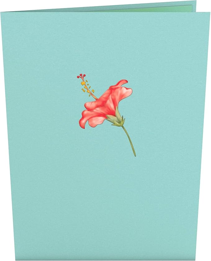 Lovepop Hibiscus Bloom Pop Up Card, 5x7-3D Greeting Card, Pop Up Paper Flower Card, Mother's Day Pop Up Card, Card for Mom, Wife or Friend, Pop Up Anniversary Card, Thinking of You