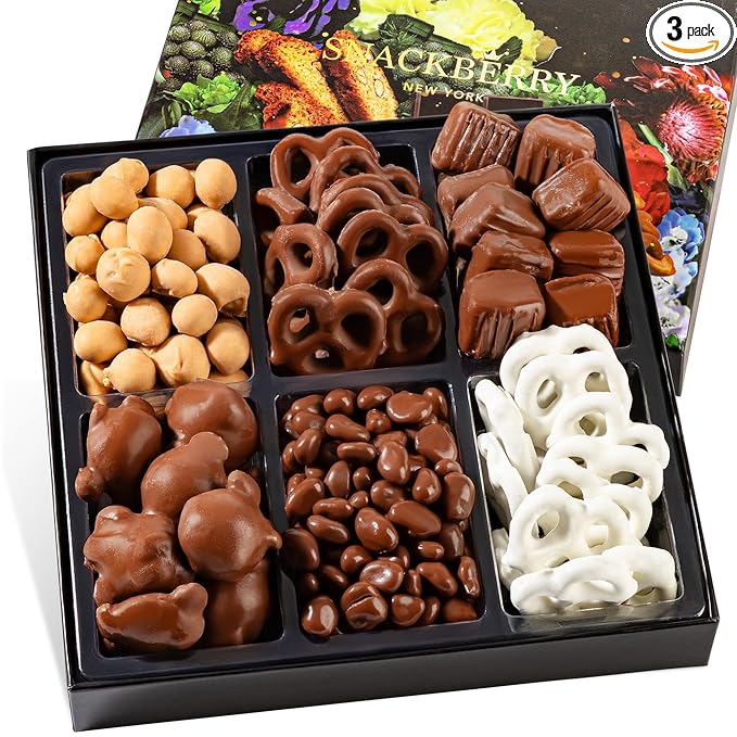3-Pack Snackberry Premium Chocolate Gift Box – Gourmet Assortment with Chocolate Pretzels, Maple Nuts, Yogurt Pretzels & Milk Chocolate Caramels – Perfect for Holidays, Birthdays & Corporate Gifts
