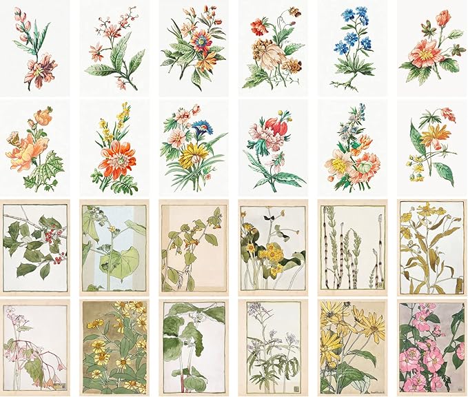 PIXILUV Vintage Postcards (24 pcs 4"x6" each) Wildflowers and Garden Flowers Antique Botannical Book Illustration Vintage Notecards Retro Greeting Card Reprint