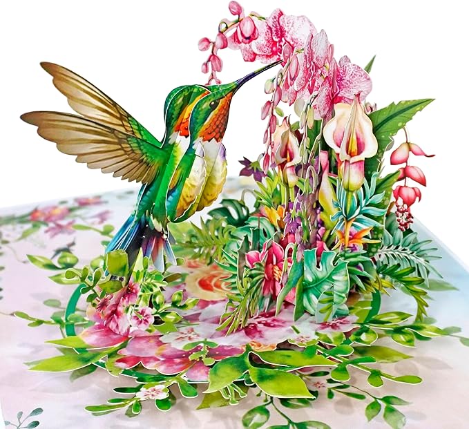 CUTPOPUP Birthday Card Pop Up, Birthday 3D Popup Greeting, Birthday Card for Women (Hummingbird Orchid)