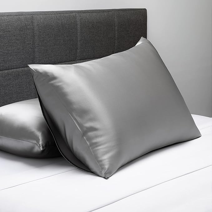 Fishers Finery 25mm 100% Pure Mulberry Silk Pillowcase Set (Silver Standard 2 Pack)