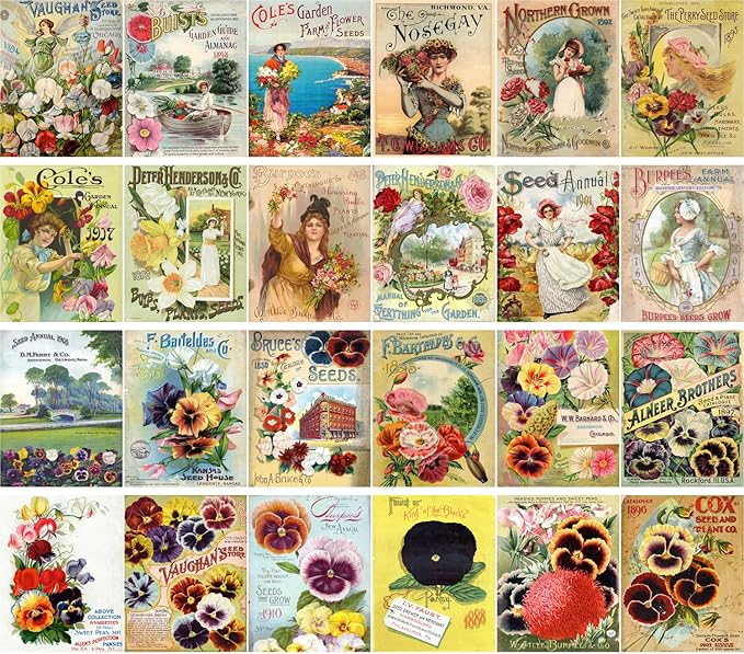 PIXILUV Vintage PostCards 24 pcs Flowers Vintage with Gardens Pansies
